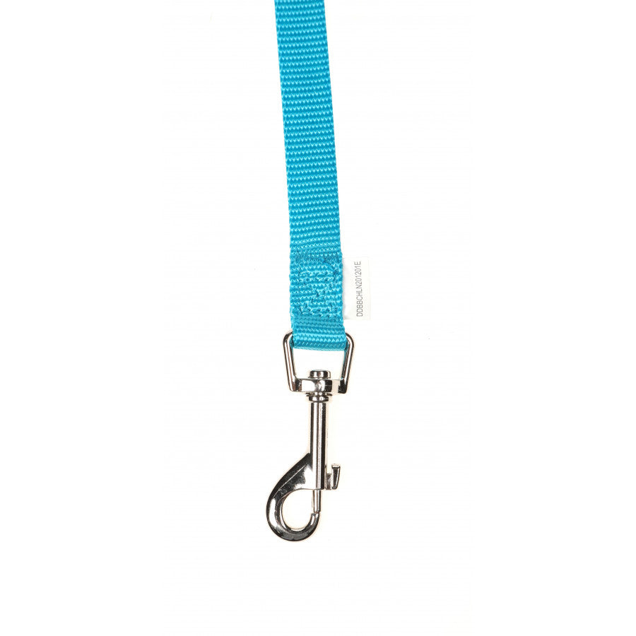 DOODLEBONE Dog Lead - AQUA
