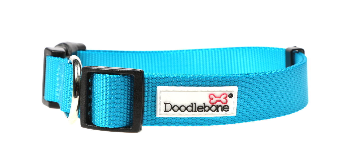 DOODLEBONE Dog Collar - AQUA