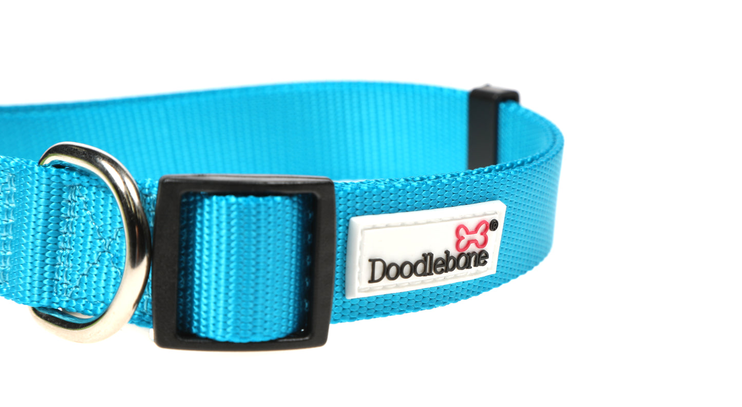 DOODLEBONE Dog Collar - AQUA