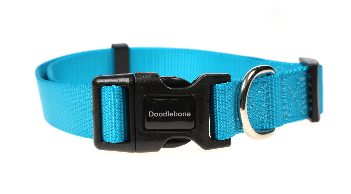 DOODLEBONE Dog Collar - AQUA