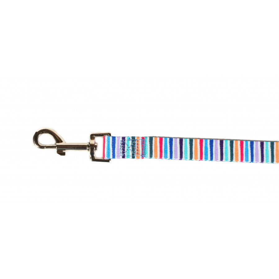 DOODLEBONE Dog Lead - STRIPES