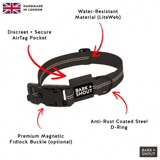 Walk Kit - Collar + Lead + Giftbag | SPRK-KIT 3.0