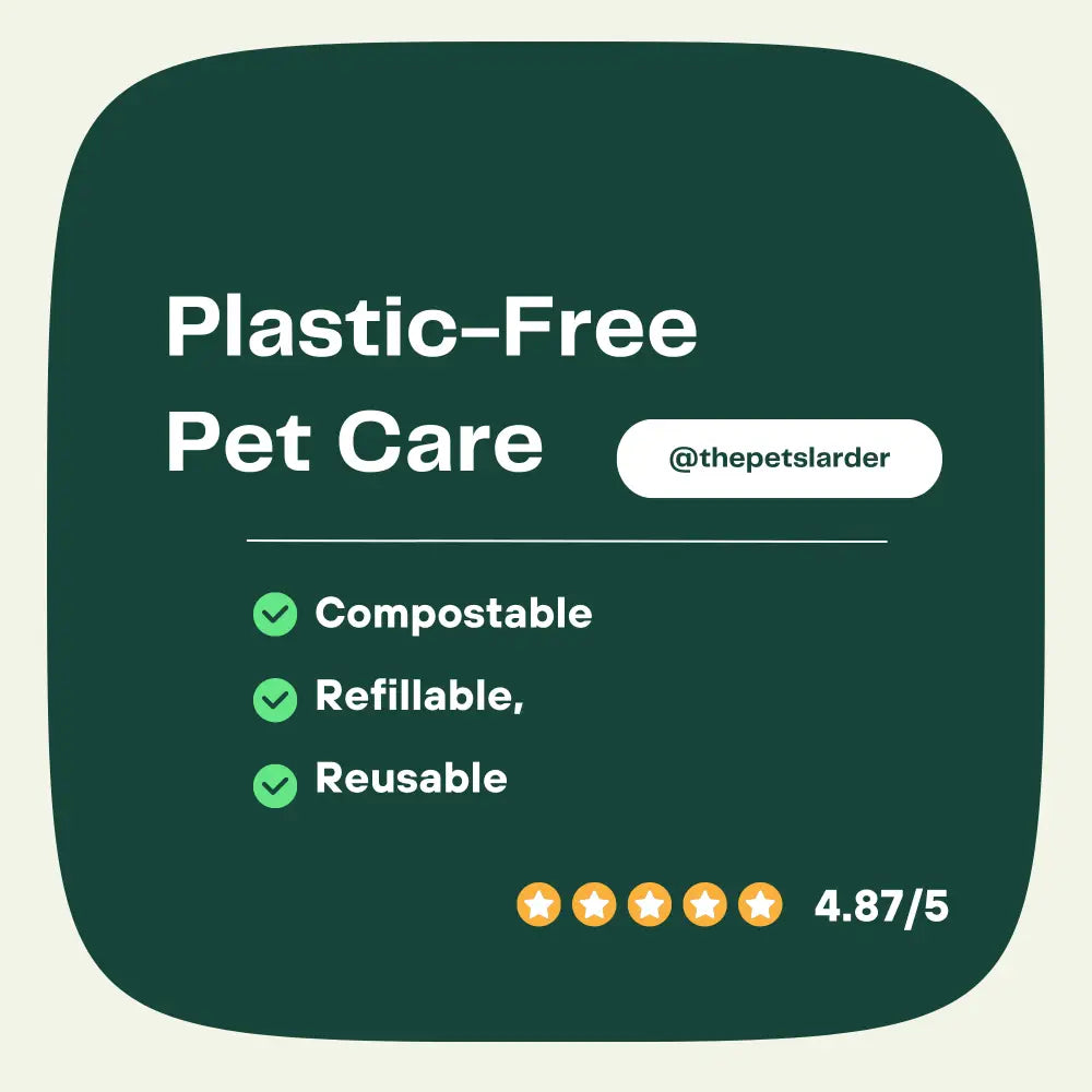 Dental Seaweed for Dogs: Plaque Removal