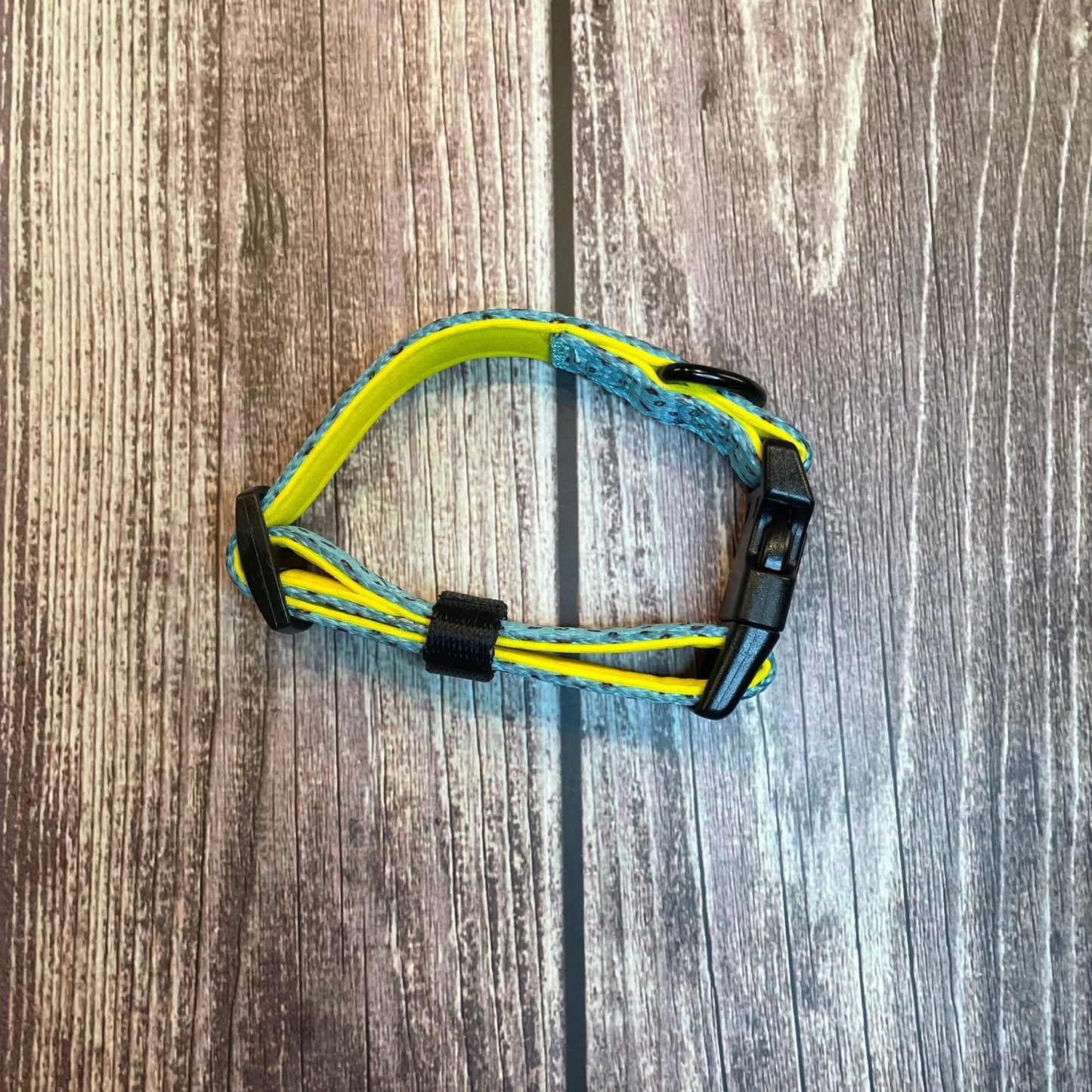 Sprinkles For Days Collar - pink or blue sprinkles dog collar