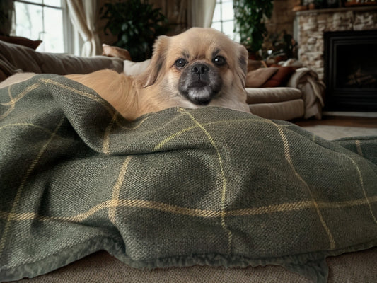 The Arlo Collection Dog/Pet Blanket - Forest Green Check
