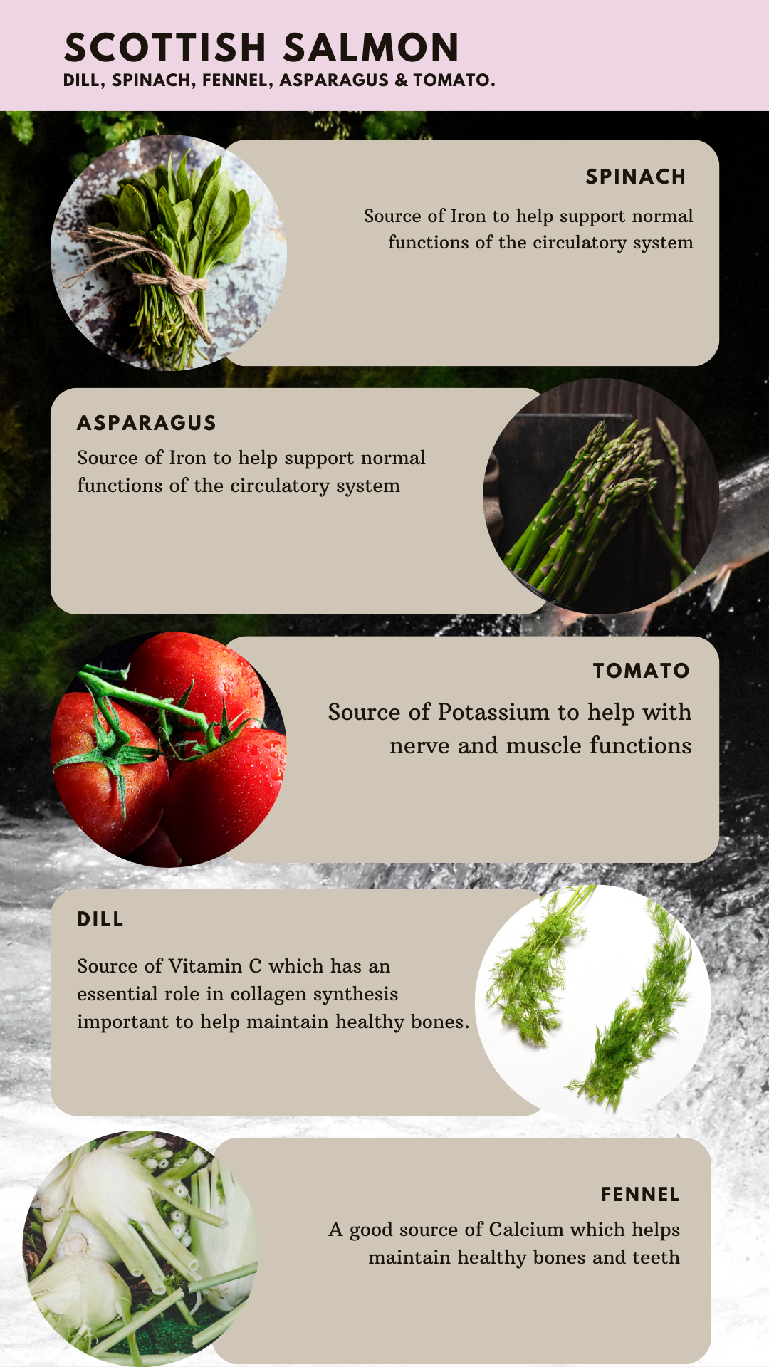 Senior - Scottish Salmon