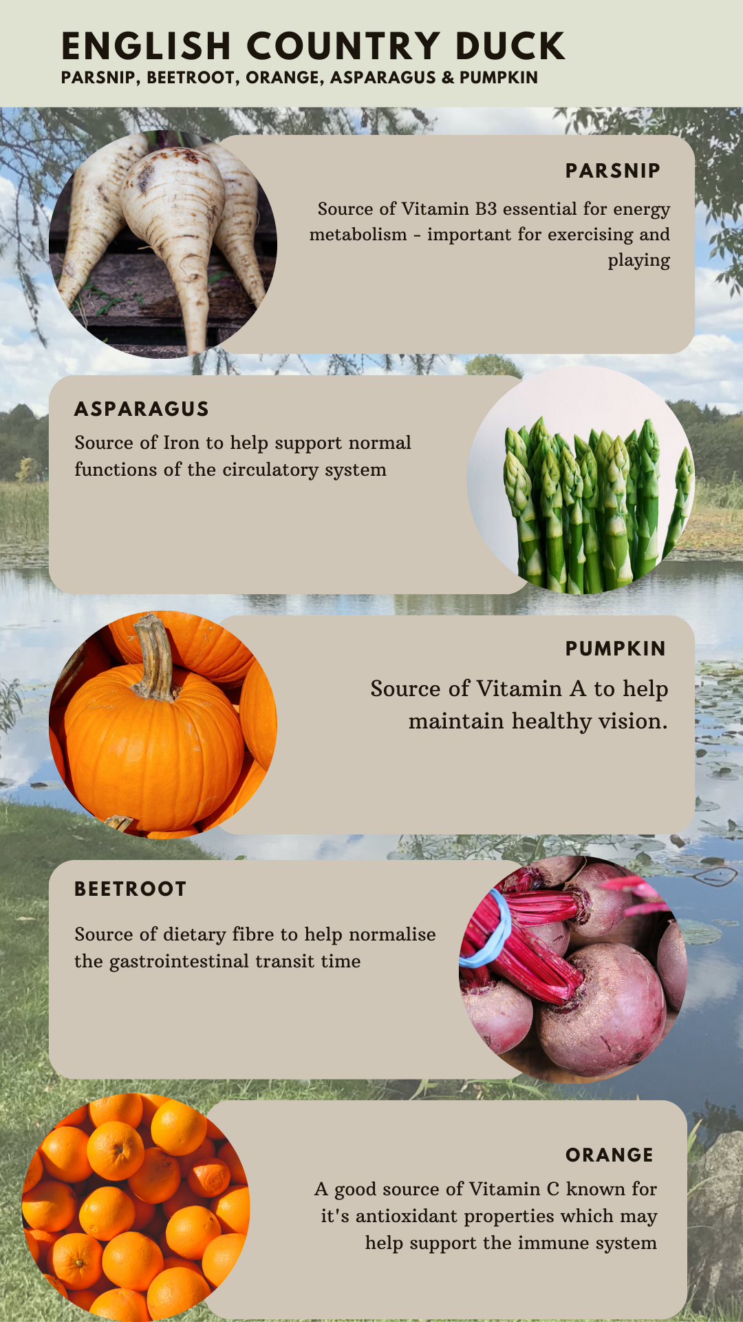 Country English Duck