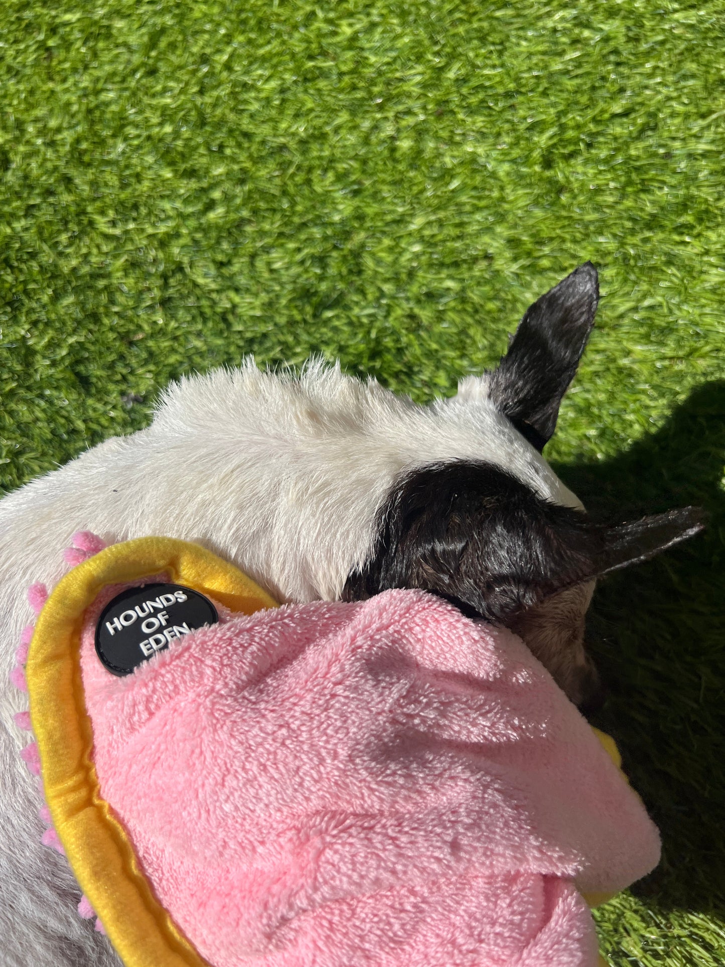 Mini Dog Towel + Clip, Hot Pink