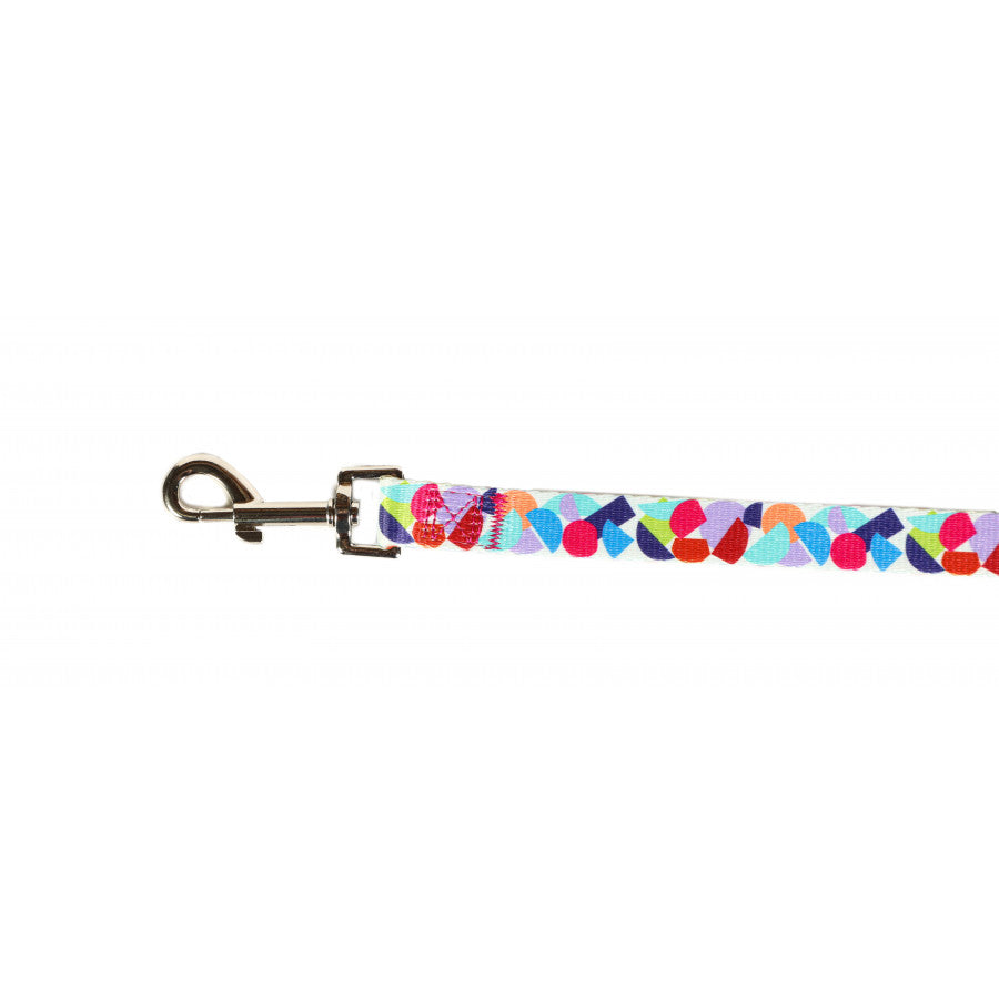 DOODLEBONE Dog Lead - ABSTRACT