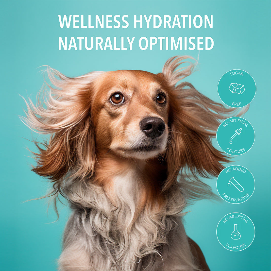 Pawer Water Joint Support (5 Sticks Pouch)