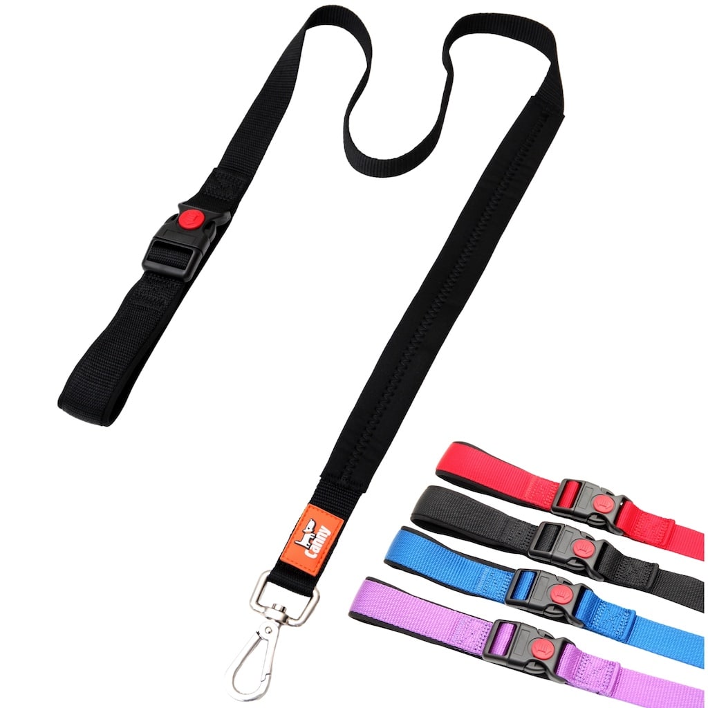 Canny CONNECT Lockable Lead