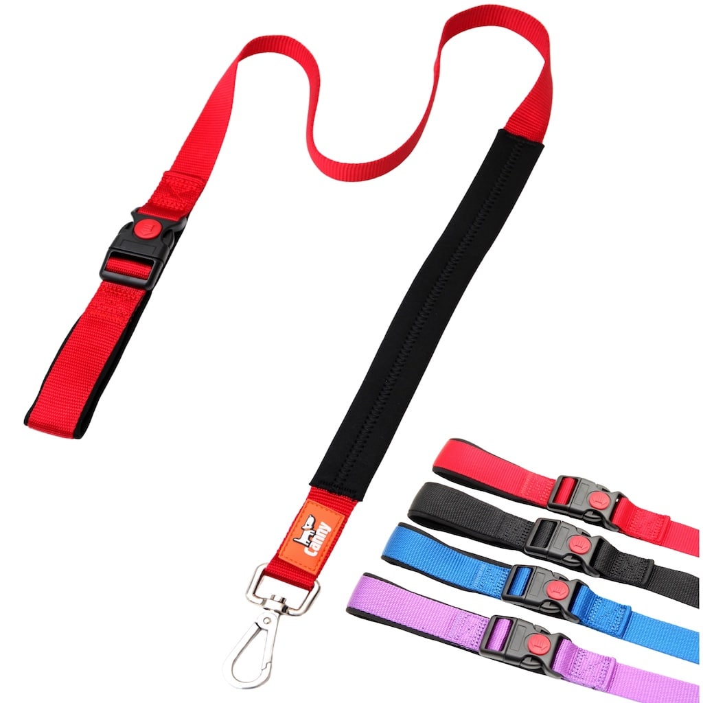 Canny CONNECT Lockable Lead