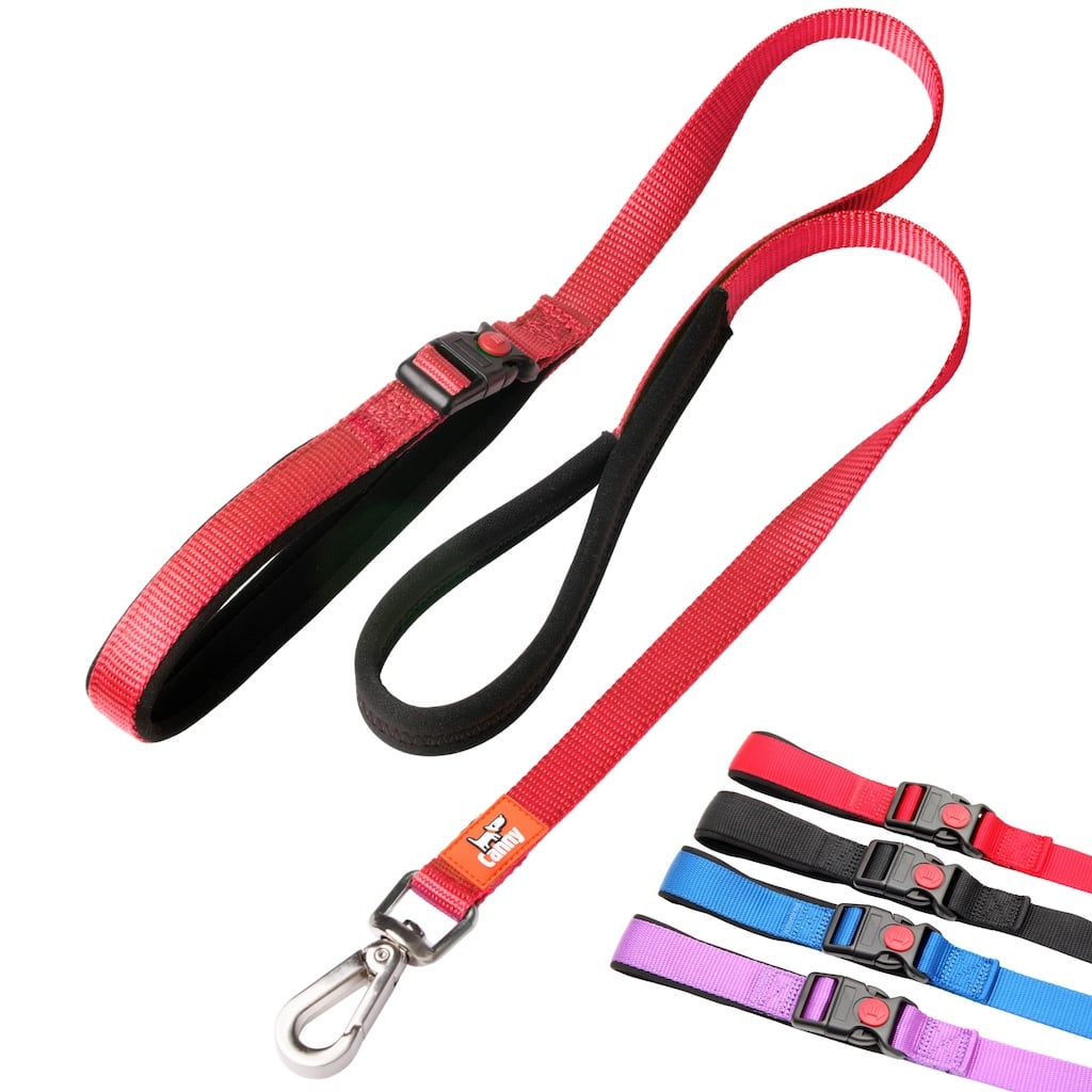 Canny CONNECT Lockable Lead