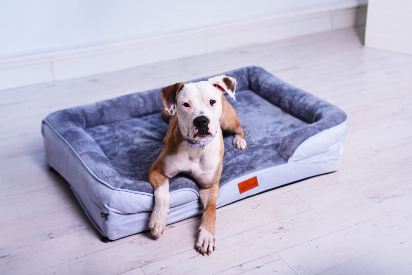 The Belgravia Orthopaedic Dog Sofa™