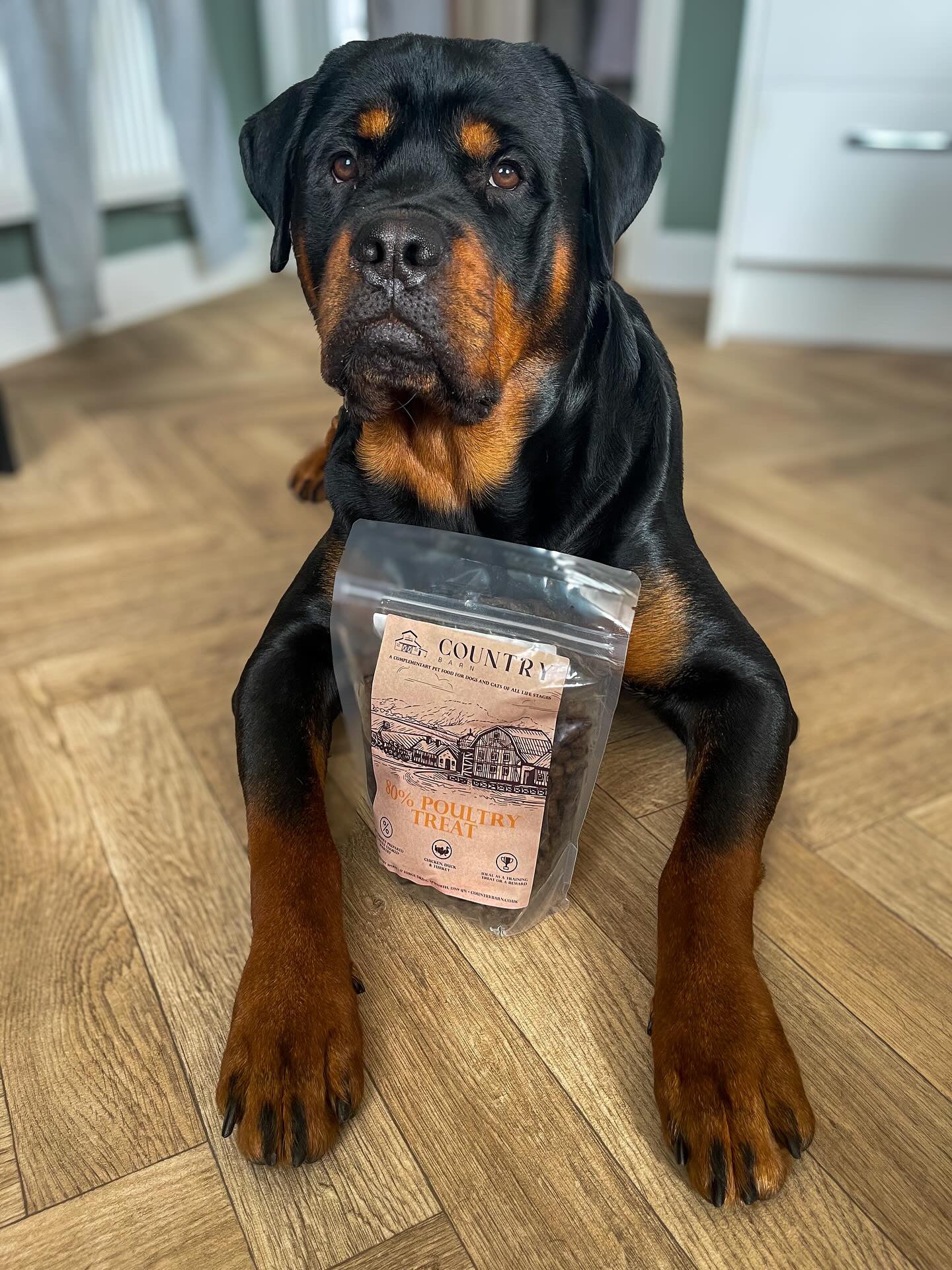 Chicken, Duck & Turkey