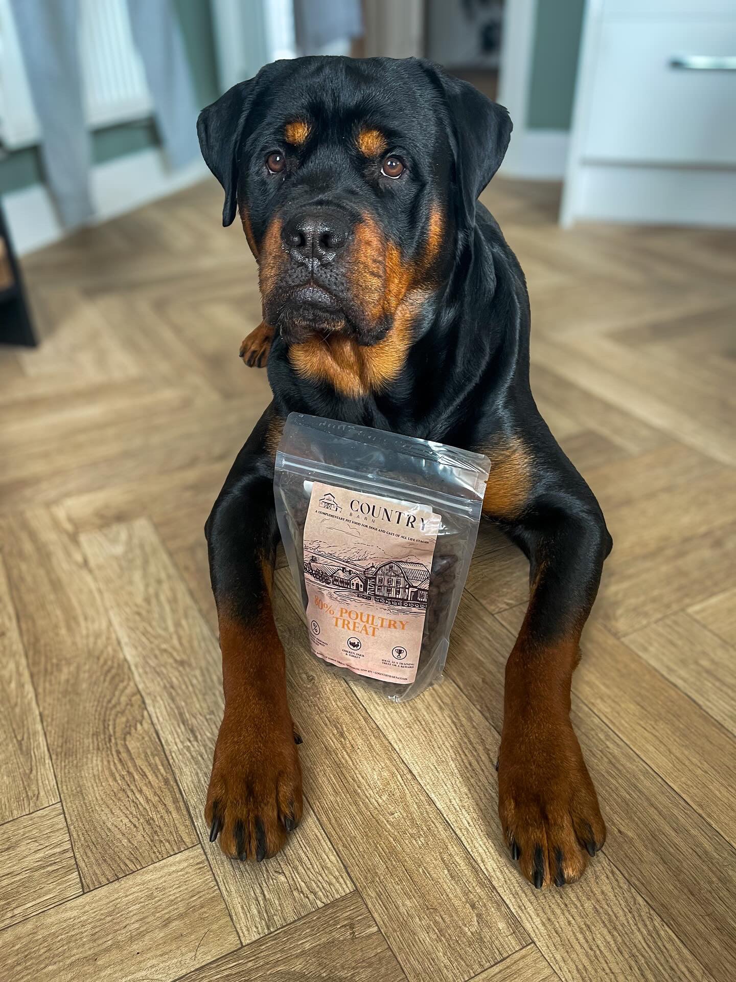 Chicken, Duck & Turkey