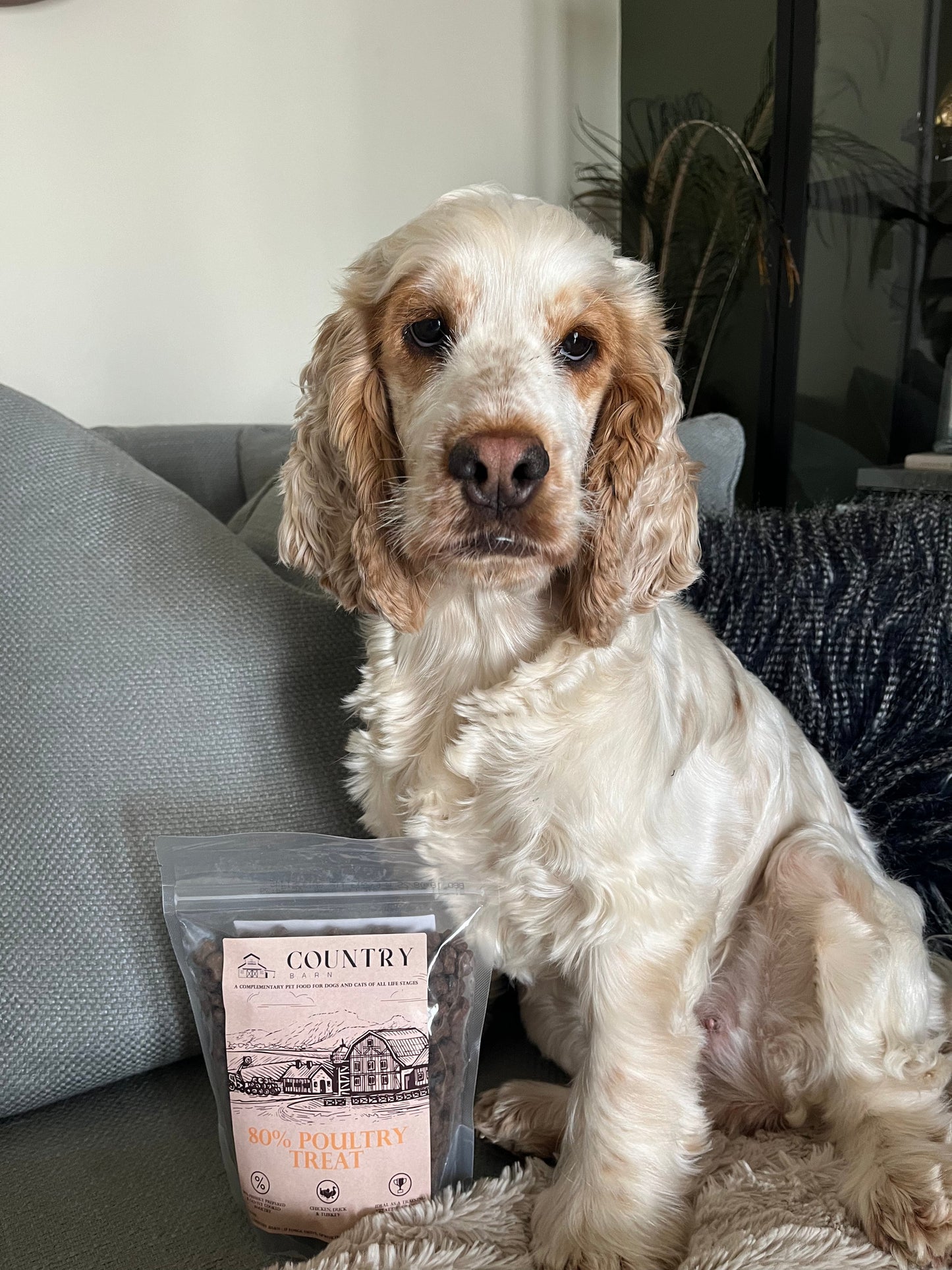 Chicken, Duck & Turkey