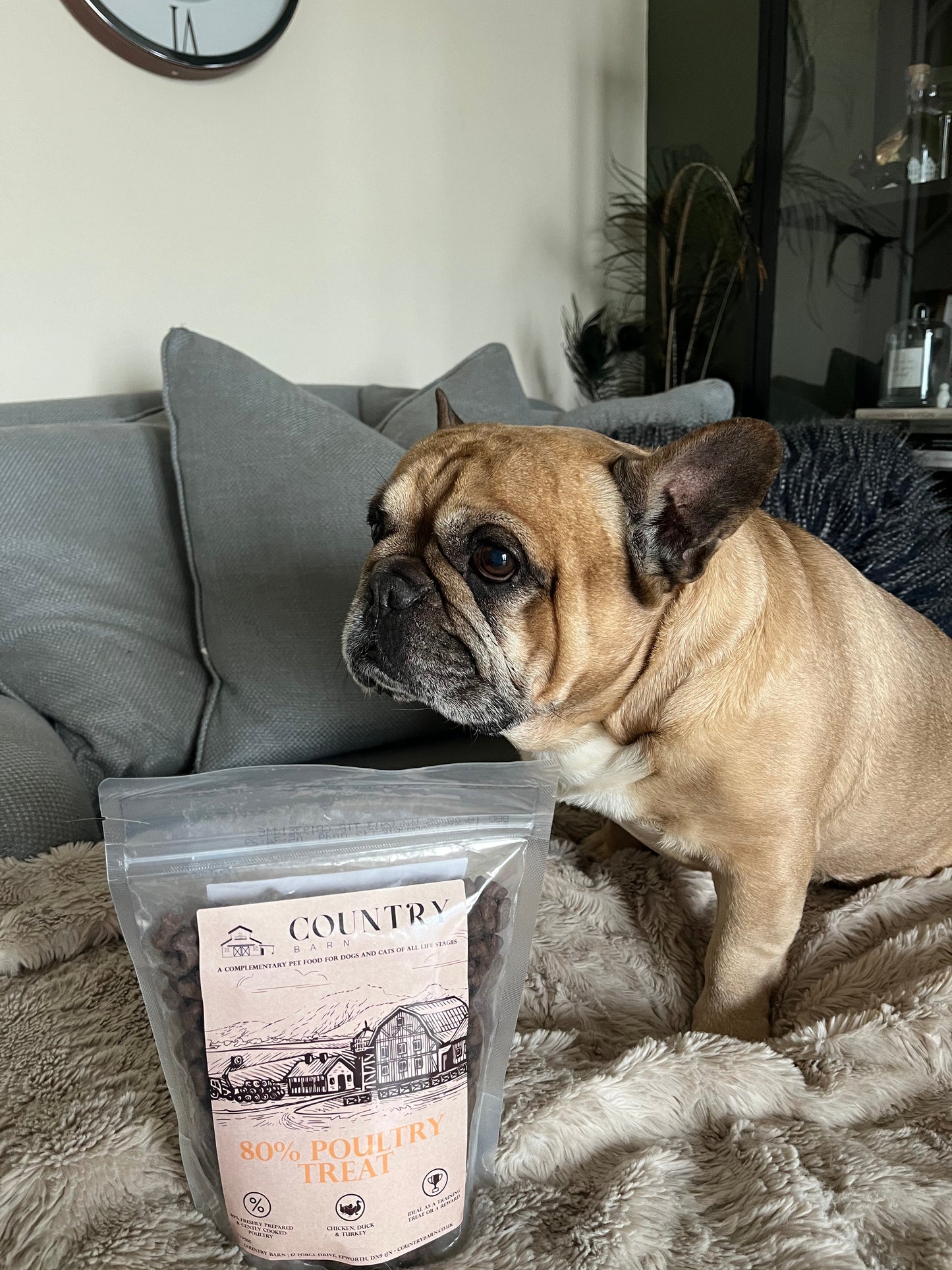 Chicken, Duck & Turkey