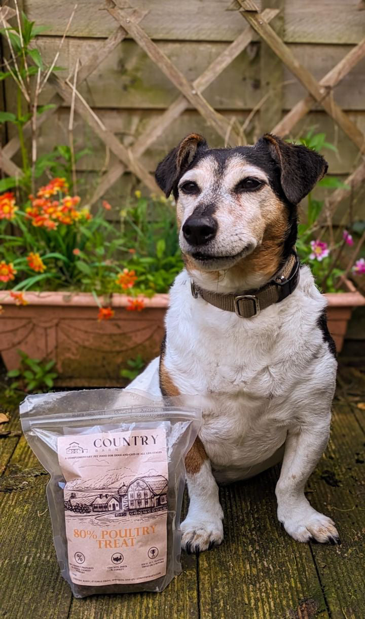 Chicken, Duck & Turkey