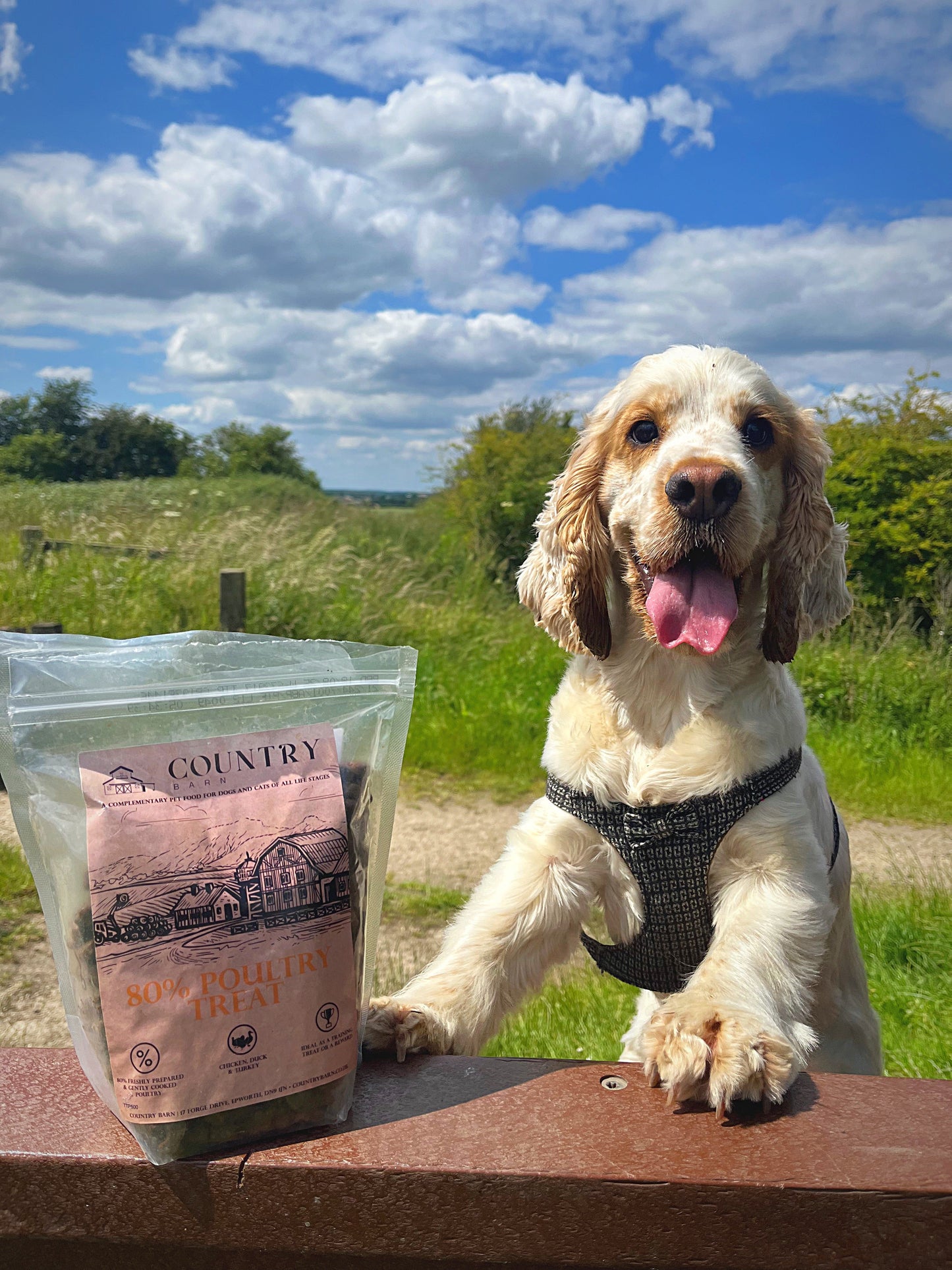 Chicken, Duck & Turkey