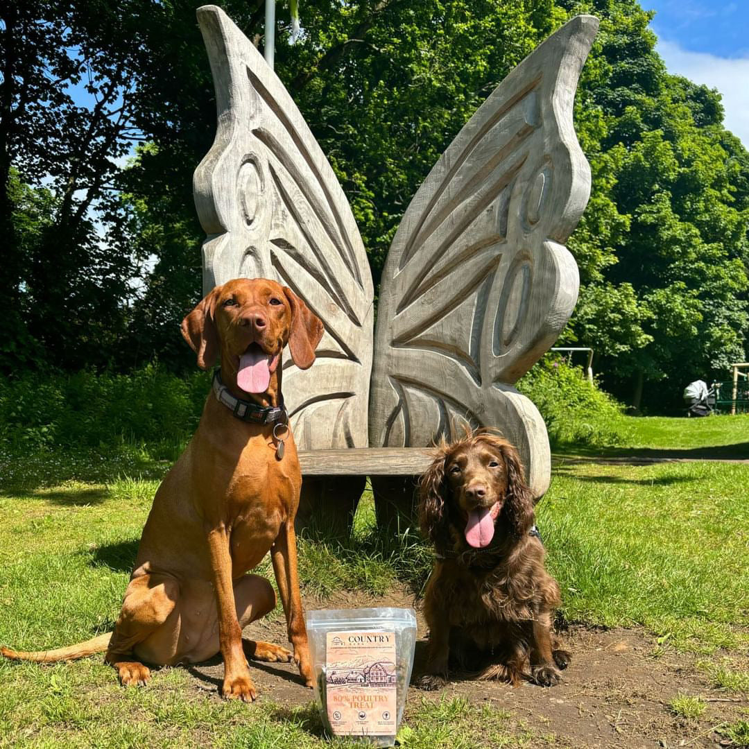 Chicken, Duck & Turkey