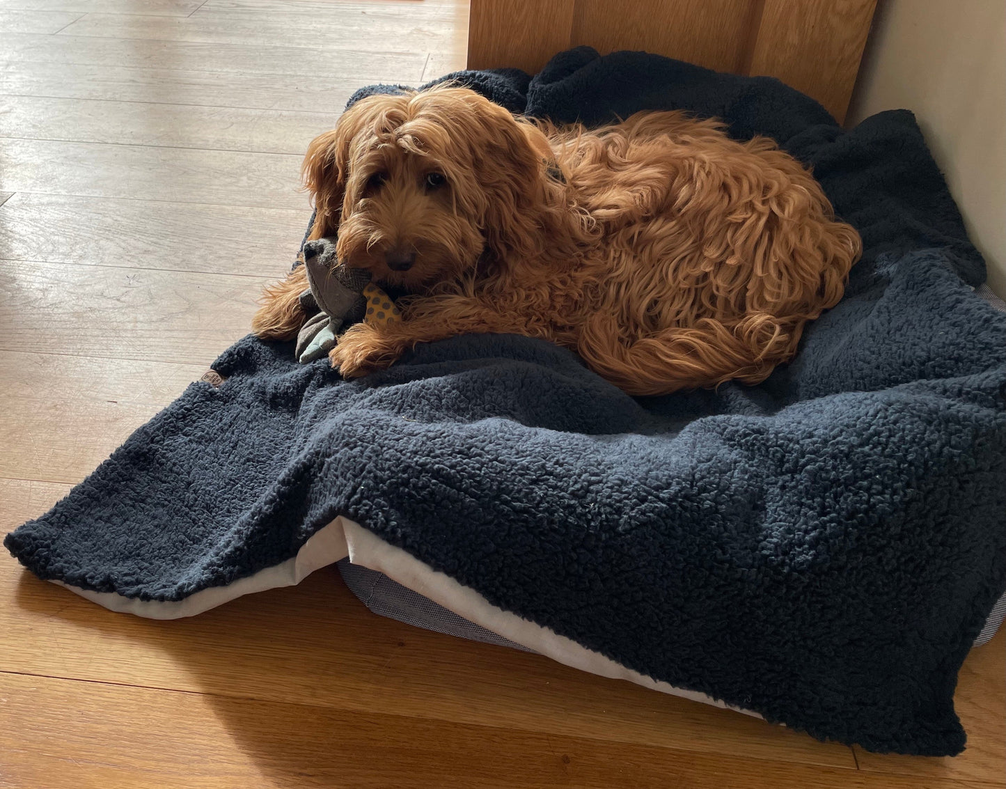 Super Soft Sherpa Fleece Dog/Pet Blanket