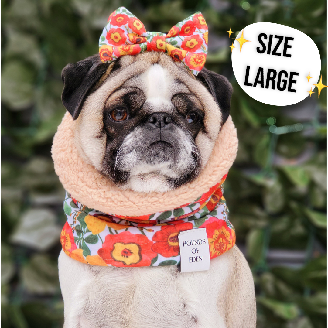 Florentina Dog Snood