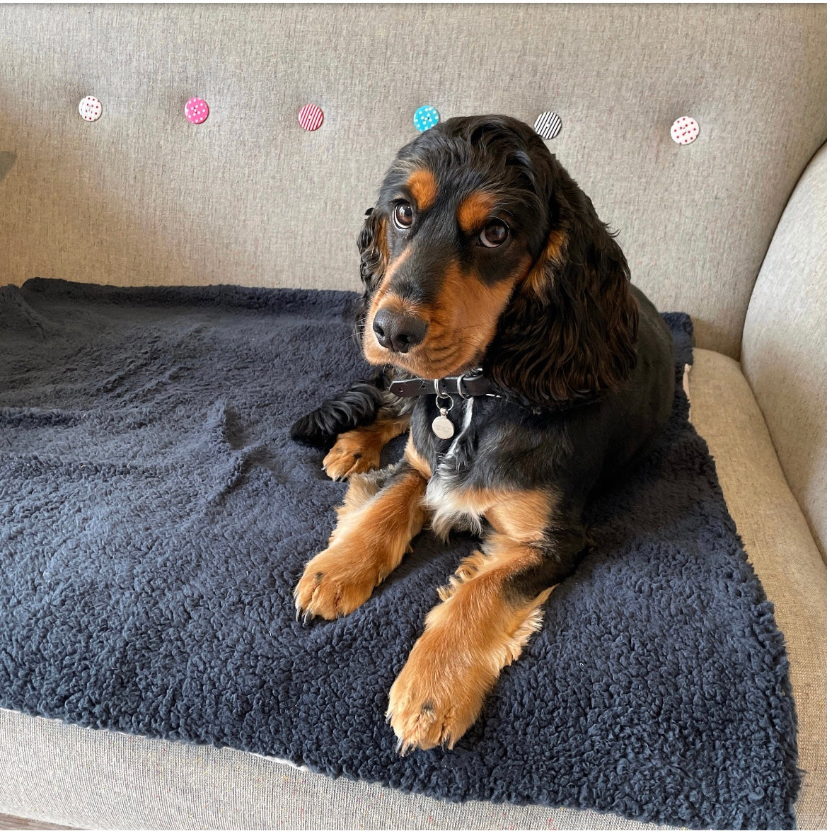 Super Soft Sherpa Fleece Dog/Pet Blanket