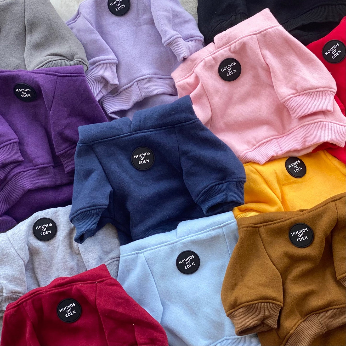 Dog Hoodie - Purple