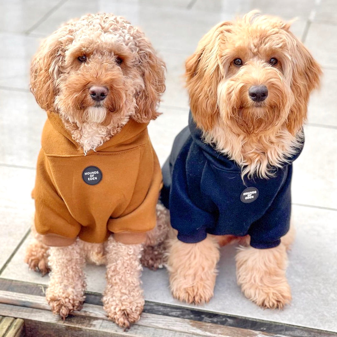 Dog Hoodie - Purple