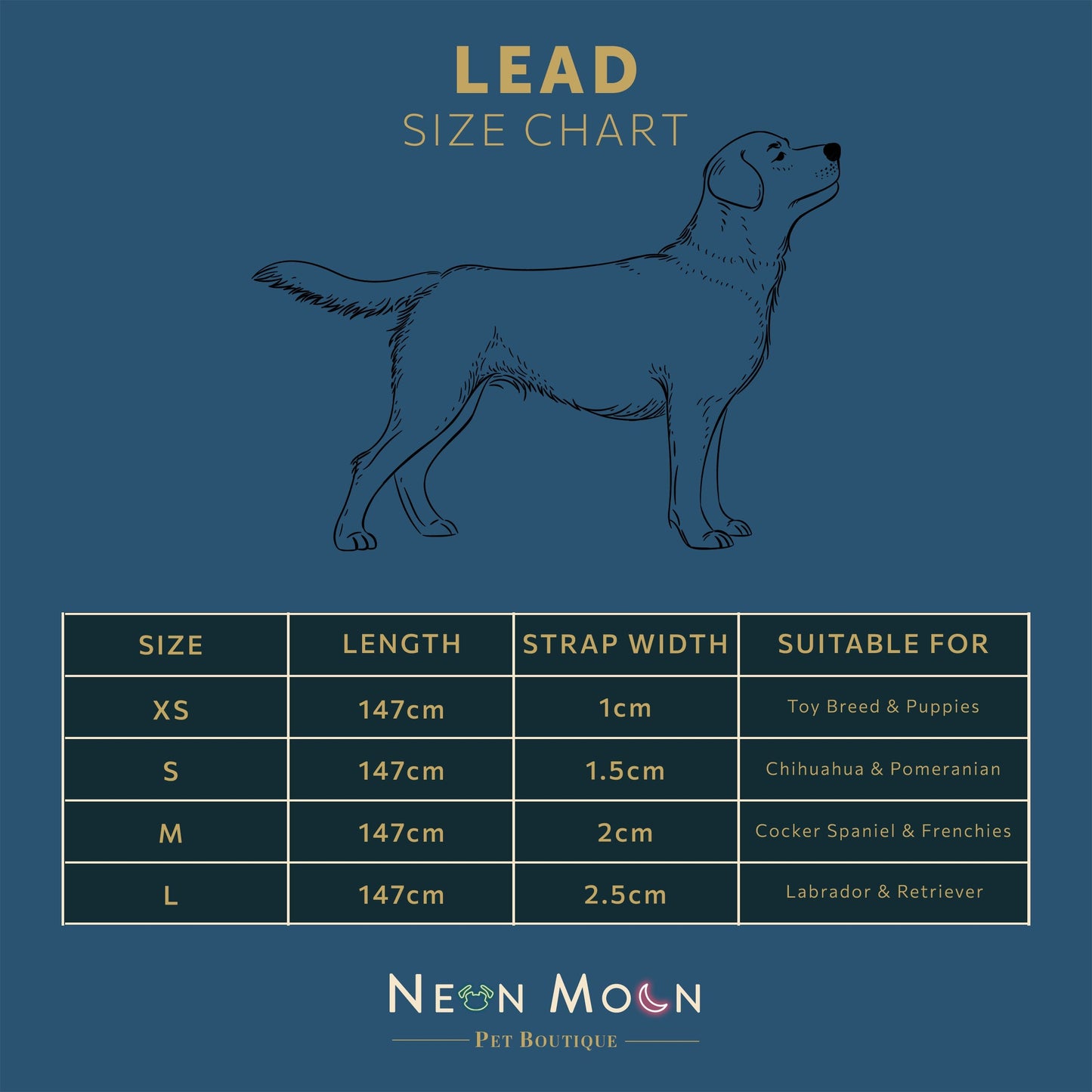 The Luna Lead