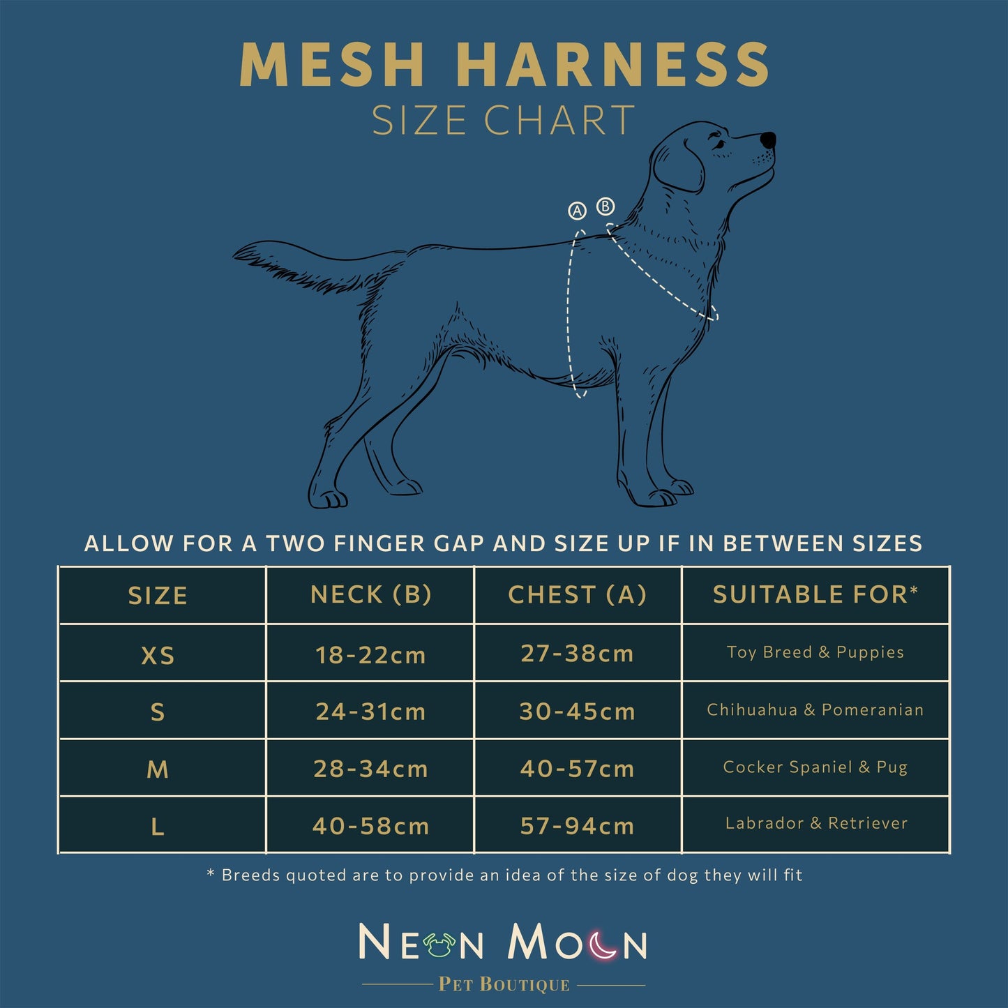 The Luna Mesh Harness