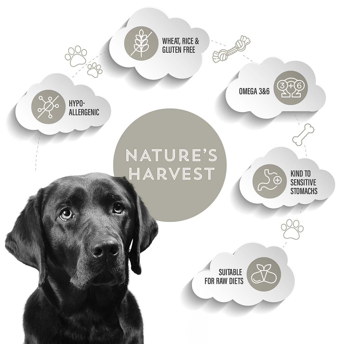 Nature’s Harvest Hypoallergenic Mixer with Prebiotic - 10kg