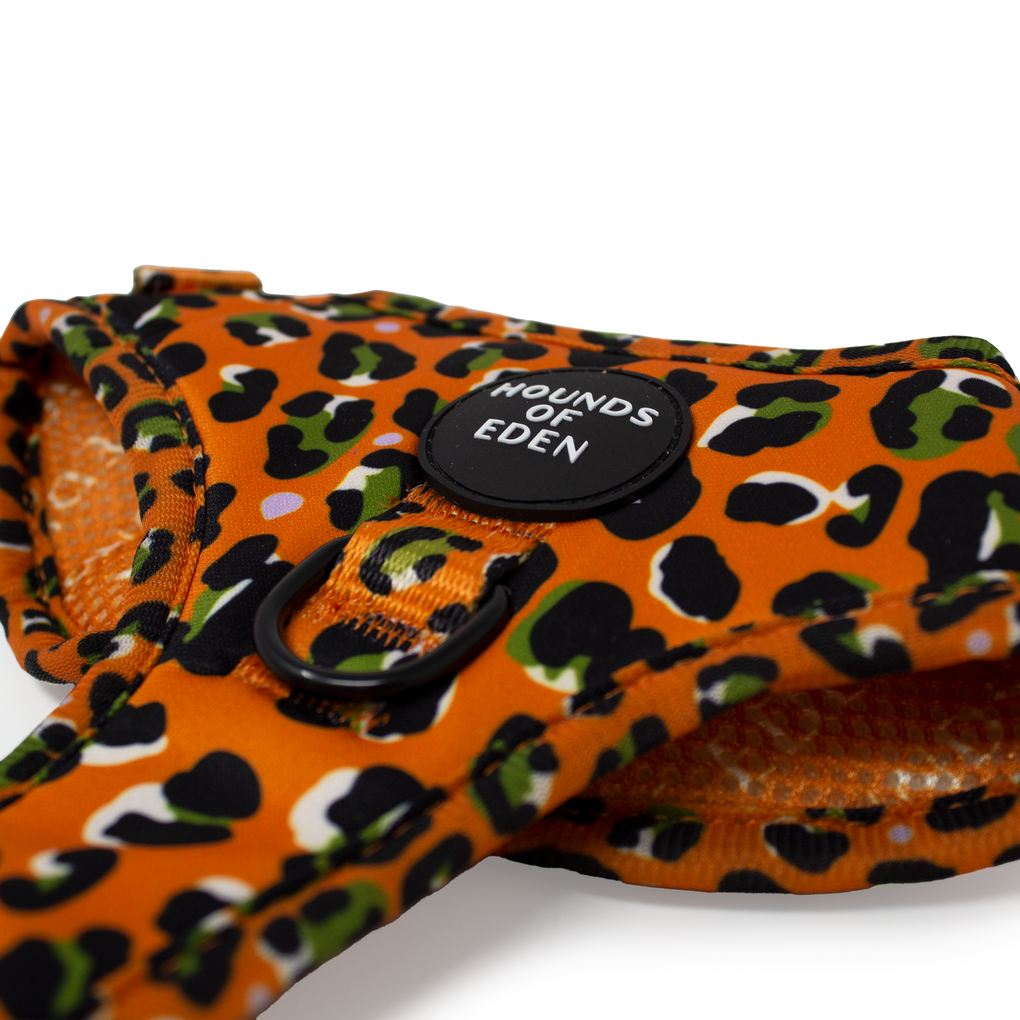 Burnt Orange Leopard Design Dog Collar