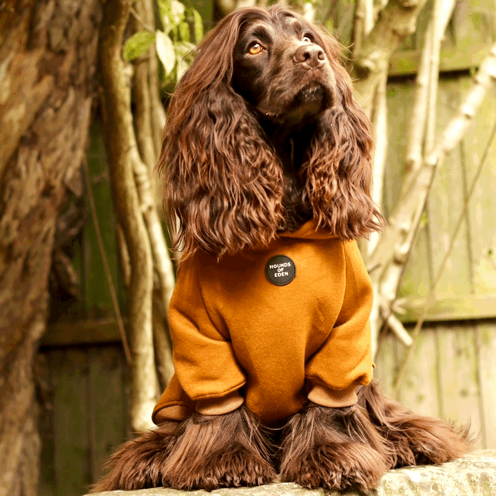 Dog Hoodie - Olive Green