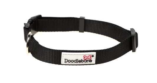 DOODLEBONE Dog Collar and Lead Set - COAL