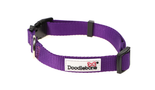 DOODLEBONE Dog Collar - VIOLET