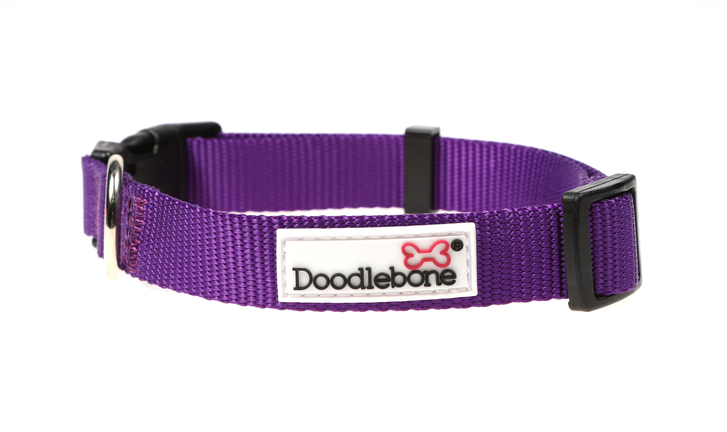 DOODLEBONE Dog Collar - VIOLET