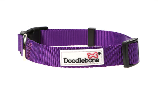 DOODLEBONE Dog Collar and Lead Set - VIOLET