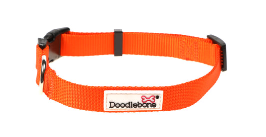 DOODLEBONE Dog Collar - TANGERINE
