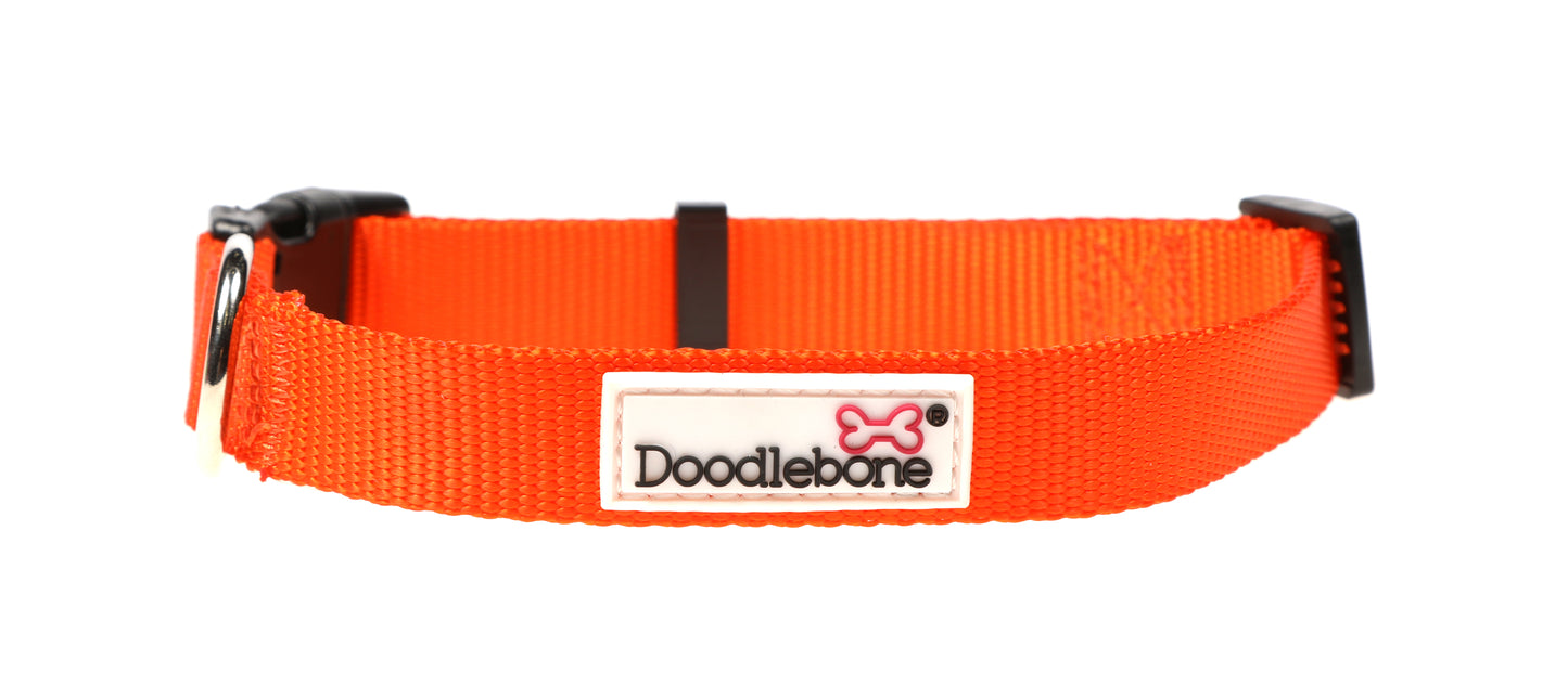 DOODLEBONE Dog Collar - TANGERINE