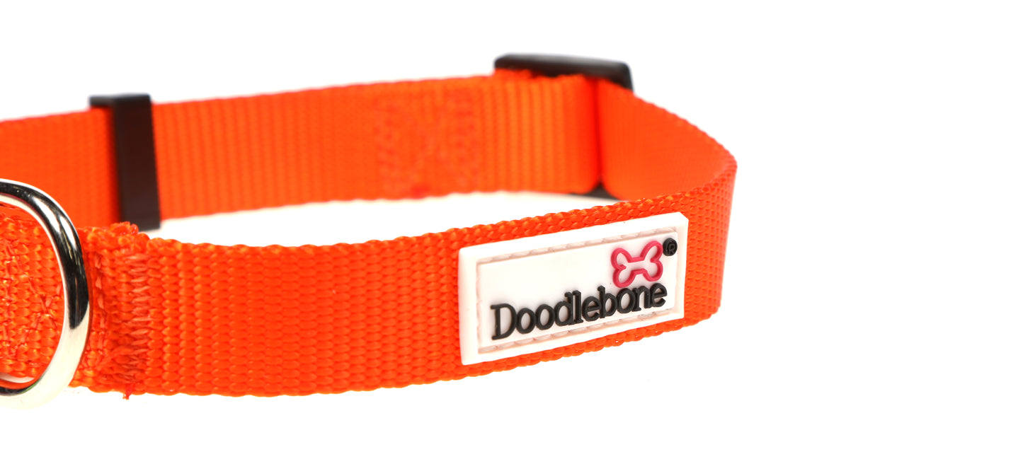 DOODLEBONE Dog Collar - TANGERINE