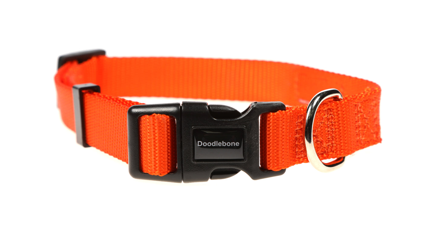 DOODLEBONE Dog Collar - TANGERINE