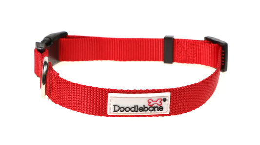 DOODLEBONE Dog Collar and Lead Set - RUBY