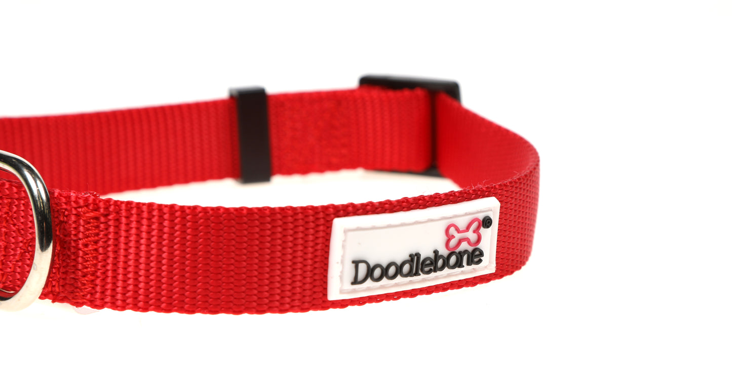 DOODLEBONE Dog Collar - RUBY