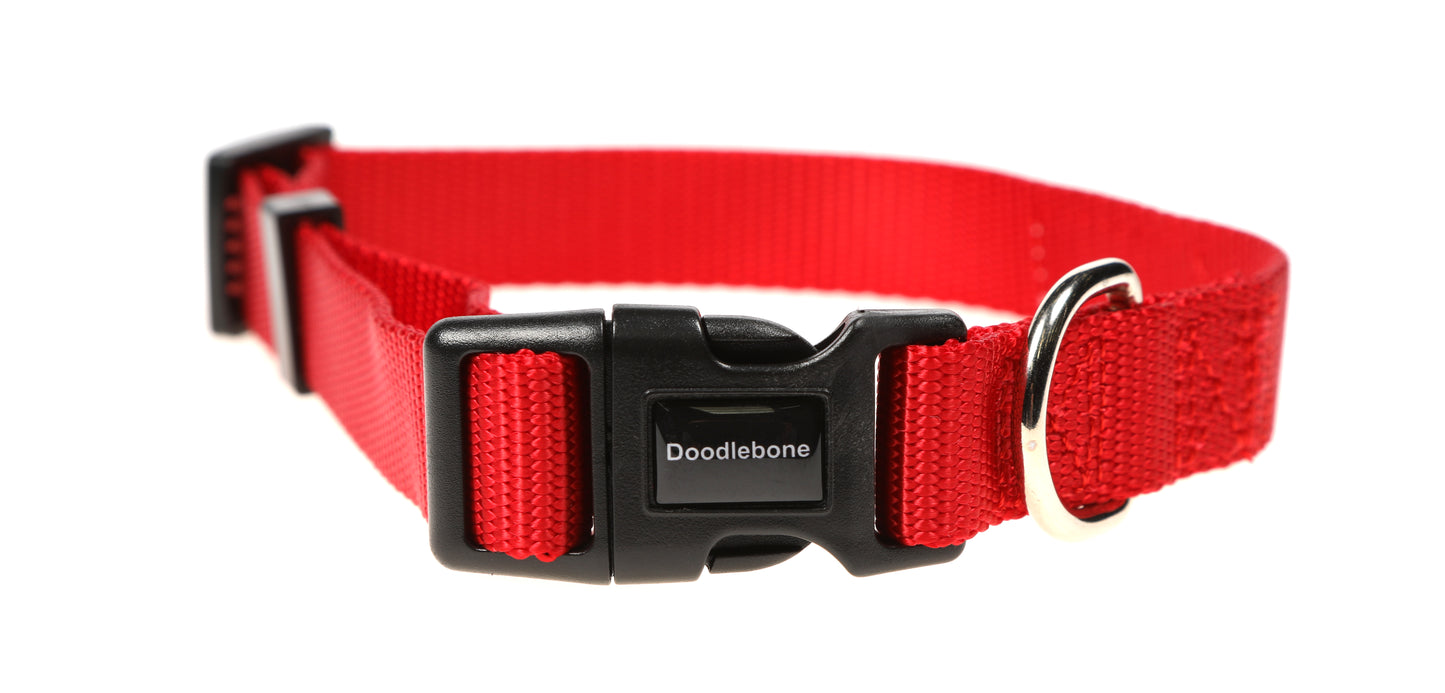 DOODLEBONE Dog Collar - RUBY