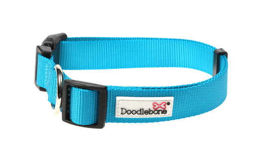 DOODLEBONE Dog Collar and Lead Set - AQUA