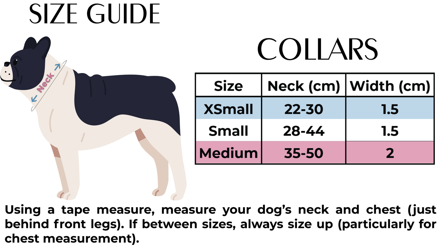 Country Pupkin - Autumnal Doodle Dog Collar