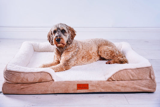 Washable Orthopaedic Dog Sofa Bed - XL