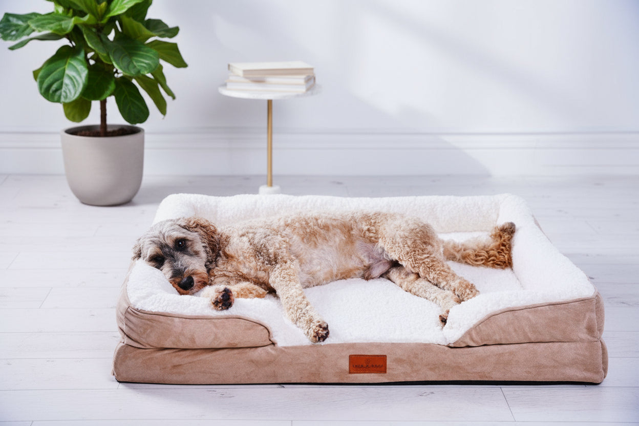 The Belgravia Orthopaedic Dog Sofa™